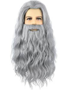 lot 6350 image: AMZCOS Grey Wizard Wig and Beard for Men Long Gray Beard Wig Set for Mens Halloween Costume Cosplay Party (Grey)