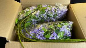 lot 9437 image: Purple Artificial Flower Wreaths