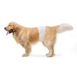 lot 11106 image: Amazon Basics Male Dog Diapers, Ultra Absorbent Disposable Wrap with Wetness Indicator, Secure Fit, Leakproof and Breathable, Large, 30 Count