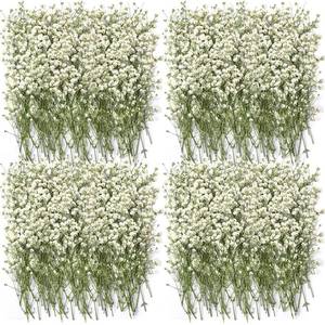lot 12004 image: Lasnten 200 Pcs Mini Dried Babys Breath Pressed White Flowers Bulk Real Natural Flat Gypsophila Babys Breath for Wedding Invitations Card Making Bookmark Candle Resin Art Craft DIY Home Party Decor