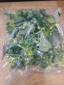 lot 14060 image: Artificial Green Foliage and Floral Stems Bundle