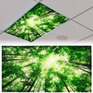 lot 20009 image: Patelai 4 x 2 Feet Fabric Fluorescent Light Cover for Ceiling Classroom Magnetic Cubicle Shade with 10 Magnets Fluorescent Light Filters for School Home Office Drop Lamp Decor(Forest)