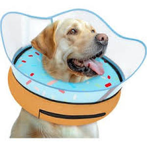 lot 6178 image: Bencmate Inflatable Pet Recovery Collar XL used