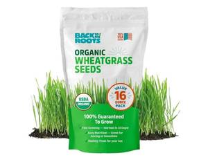 lot 37252 image: Back to the Roots 100% Organic Wheatgrass Seeds  1 Pound Non-GMO  Nutrient Dense, Easy to Grow  Cat Grass Planter Seeds - Retail $10