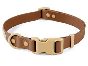 lot 37393 image: Waterproof Dog Collar with Quick Release Buckle Cute Adjustable Collar for Dogs Comfort Sturdy Durable Odor Proof Easy Care Chocolate Cookie 46-70cm - Retail $11