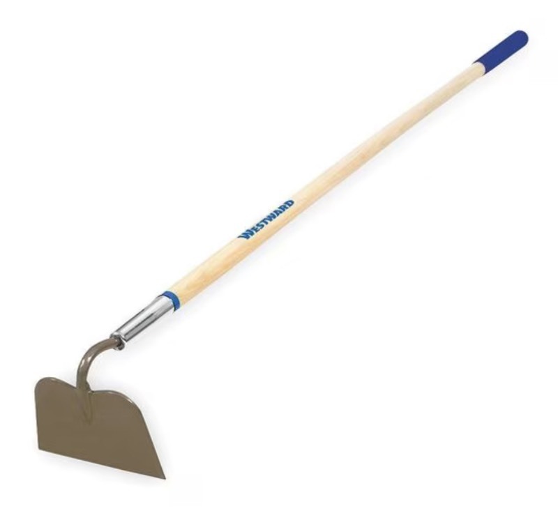lot 73 image: Westward Garden Hoe, 6 In Steel Blade Wooden Handle