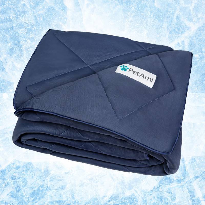 lot 32991 image: PetAmi Premium Cooling Dog Blanket  Lightweight Fluffy Pet Throw Blanket Bed Cover for Dogs, Cat, Puppies  Pet Blanket Furniture Protector Couch Sofa  Reversible Fuzzy Cozy  40x60, Navy Blue - Retail $33