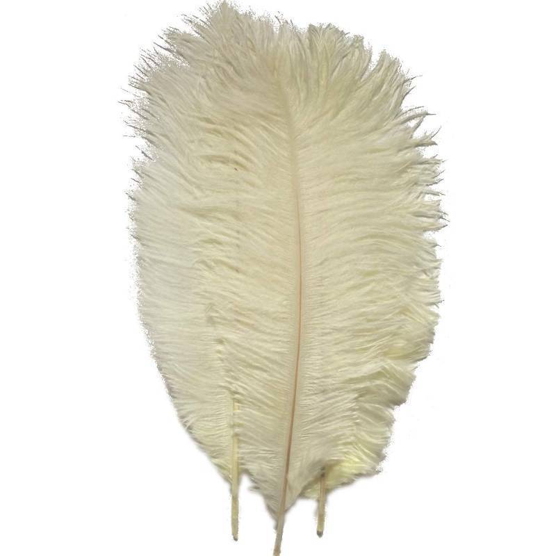 lot 42507 image: Sowder 50pcs Natural 8-10inch(20-25cm) Ostrich Feathers Home Wedding Decoration(Ivory)