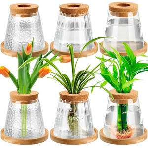 lot 24569 image: Beeveer 6 Pcs Plants Propagation Station Separated Desktop Plant Terrarium with Wood Lid and Stand, 3 Sizes Glass Planter Propagated Jars Propagation Vases for Indoor Home (Cute Style) - Retail $26