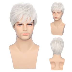 lot 30658 image: Sallcks Mens White Wigs Short Layered Natural Cosplay Costume Halloween Synthetic Heat Resistant Replacement Wigs - Retail $21