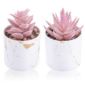 lot 32482 image: Der Rose Set of 2 Succulents Plants Artificial Mini Fake Succulents Plants for Office Desk Accessories for Women Pink Home Vanity Decor - Retail $8