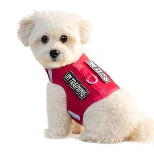 lot 24701 image: Sunraymascota Dog Harness for Puppy Adjustable Reflective Easy Put On Soft Mesh Vest for Small Dogs with 2 Patches (Burgundy Red,XS) - Retail $14