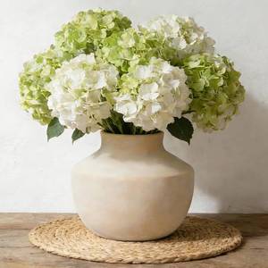 lot 24785 image: ELYSIIRENA Ceramic Flower Vase, 5.5 Inch Off-White Farmhouse Vase, Handcrafted Weathered Pottery Vase, Small Flower Vase for Home Decor, Living Room, Table, Shelf - Retail $25