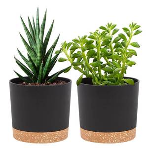 lot 24790 image: QCQHDU 5 inch Plant Pot, 2 Pack Planters for Indoor Plants with Drainage Holes & Saucer, Outdoor Flower Pots Home Garden Modern Decor - Retail $11