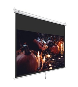lot 6199 image: $49 56 W 169 Manual Pull Down Projector Screen