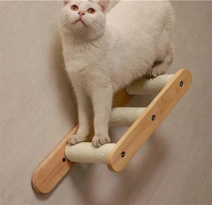 lot 6268 image: Petomg Cat Wall Stepper