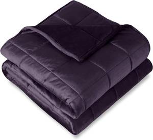 lot 3123 image: Bare Home Weighted Blanket Twin or Full Size 10lb (40 x 60) - Minky Fleece - Premium Heavy Blanket Nontoxic Glass Beads (Eggplant, 40x60)