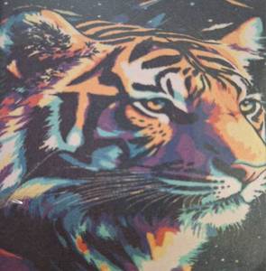 lot 9477 image: DIY PAINTING PAINT BY NUMBERS TIGER