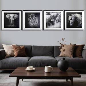 lot 10058 image: JJY Framed Black and White Large Animal Wall Art Prints Set of 4 -African Large Wild Tiger Elephant Cow Wall Decor Posters Aesthetics with Frame -Animal Wall Art Posters for Home Decor 12 x12