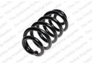 lot 10068 image: Rear Coil Spring UNKNOWN MAKE AND MODEL