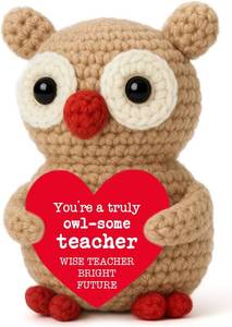 lot 10745 image: Owl Crochet Birthday Gift for Teacher, Handmade Appreciation Present from Student Parent for Teacher Week Graduation End of School Year Celebration Christmas