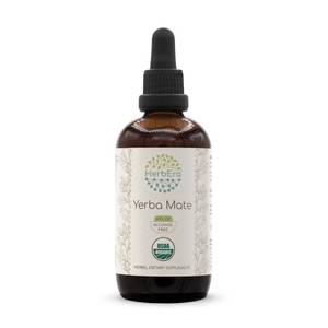 lot 10974 image: HerbEra Yerba Mate B120 USDA Organic Tincture  Alcohol-Free Extract, High-Potency Herbal Drops  Certified Organic Yerba Mate (Ilex paraguariensis) Dried Leaf (4 fl oz)