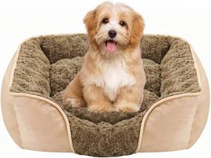 lot 11174 image: MeowMua Dog Bed for Small Medium Dogs, Cat Bed for Indoor Cats. Washable Orthopedic Dog Bed. Removable Sleeping Mat, Durable Pet Bed with Anti-Slip Bottom (Camel, Small)
