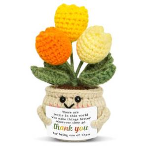 lot 2440 image: OASSIE Thank You Gifts for Women - Mini Tulip Positive Emotional Support Crochet - Graduation End of Year Teacher Appreciation Gifts for Teachers Nurse Coworker Friend, Retirement Gift for Woman