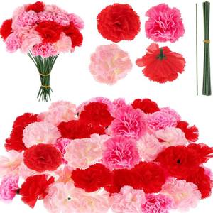 lot 4444 image: TBoxBo 120 Pack Artificial Carnations with Stems Leaves Eternal Blossom Silk Carnation Flower Artificial Pom Pom Mini Hydrangea Birthday Party for Home, Wedding(Scarlet, Pink, Light Pink) 5g6e8t1sm19