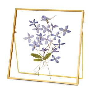 lot 6032 image: REDHUGO Double Glass Frame for Pressed Flowers Handmade, Tabletop Photo Frame for Floating Picture and Flower Press, Simple, Metal Geometric, Square, Gold, 6x6 Inches