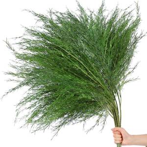 lot 6462 image: Suncalla 12 Pcs Artificial Asparagus Fern 24 Inch Faux Fern Garland for Wedding Arch Green Simulated Hanging Plants DIY Bouquet Wall Hanging Decor Floral Arrangement Garden Photo Props Party Supplies