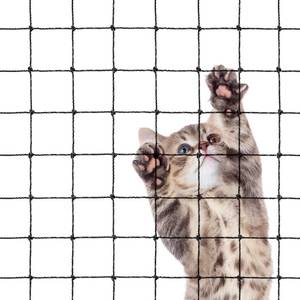 lot 11135 image: Morimoe Cat Balcony Net, Steel Wire Reinforced, Anti-Fall Fence, Safety Net, Extra Strong (10 X 20 Ft)