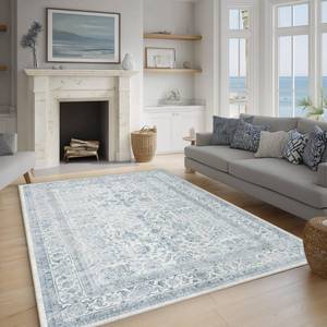 lot 11199 image: FMFUNCTEX 5x7 Washable Area Rug Blue Neutral Vintage Non Slip Low Pile Traditional Indoor Carpet for Living Room Bedroom Soft Retro Floral Mat Throw Rug for Dining Office Kitchen Dorm Entryway
