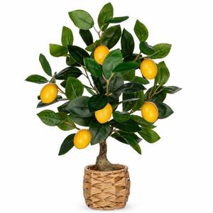 lot 19457 image: Oairse Artificial Potted Plants 17.3 inches Small Fake Lemon Tree Artificial Lemons Citrus Tree with Woven Pot Faux Plants Indoor Lemon Decorations for Home,Office, Living Room Table, Desk