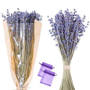 lot 19489 image: 500 Stems 17 Dried Lavender 2 Bundles 100% Natural French Lavender Flowers for Bathroom Dried Flowers Photo Props Crafts Decoration, Shower Weeding Vase Decor, Home Fragrance