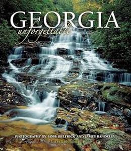 lot 4485 image: Georgia Unforgettable (Cumberland Island Cover)