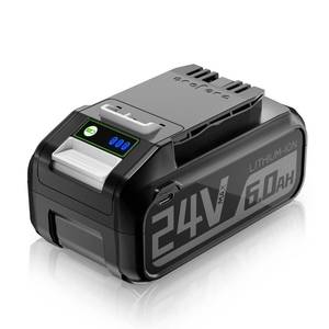 lot 2181 image: TenHutt��with USB-C 24V48V 6.0Ah Replace Battery for Greenworks 24V Battery 29842 29852 Lithium Battery Compatible with 20352 22232 2508302 ��Compatible with Greenworks 24V48V Tools��