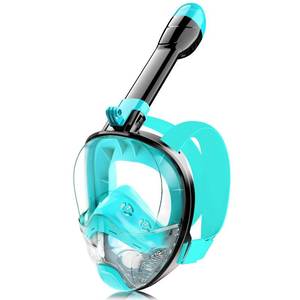 lot 4078 image: Full Face Snorkel Mask for Adults Teen, Snorkeling Gear with Detachable Camera Mount, Panoramic 180° View, Anti-Fog Anti-Leak Snorkling Set for Man and Women (Black Green-LXL)