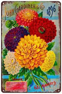 lot 6147 image: Vintage Metal Signs - Dahlias Flowers Seed Packet Tin Sign Poster Wall Art Decor Plaque for Home Bar Pub Club Cafe Garden Gift 8x12 inch