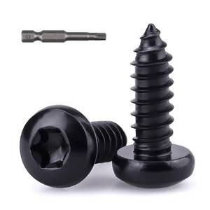 lot 12201 image: 100-pack #10 x 1 Pan Torx Head Self Tapping Screws Black, 304 Stainless Steel 188, Black Coated, Rounded Head (Torx Bit Included)