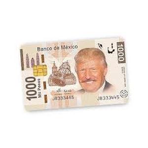 lot 10144 image: 1000 Peso Polymer Banknote with Protective Case