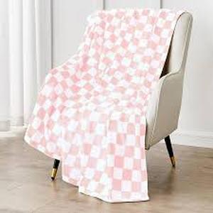 lot 10224 image: Pink and White Checkered picnic blanket used