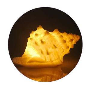 lot 1965 image: GREENIC Portable Conch Shell Beach Themed Night Light w Timer for Kids Adults Bedroom Nightstand Lamp Nautical Lighting Battery Operated, Warm White