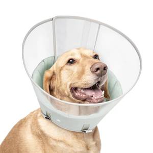 lot 2208 image: Dog Cone Collar with Snap-on Detachable Soft Liner, Lightweight Transparent Elizabethan Alternative to Stop Licking, for Spay Neuter Surgery Recovery, for Medium Large Small Dogs (Green,L)