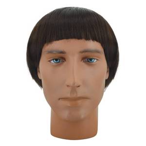 lot 14408 image: GVLAQST Mens dumb Lloyd Wig Dumber Dark Brown Mushroom Wig 60s Bowl Cut Vector Halloween Funny Costume Accessories