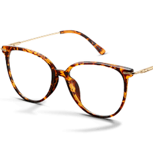 lot 12311 image: GAOYE Designer Eyeglasses with Case and Cleaning Cloth