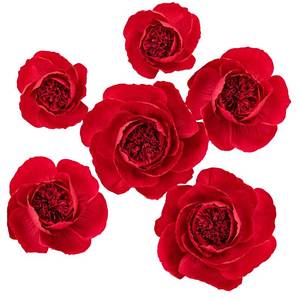 lot 2380 image: MEJOY 6 pcs 3D Paper Flower Decoration for Party, Wedding Decoration, Background Wall, Nursery Room Decoration, Bridal Shower, Baby Shower (Red,Set6)