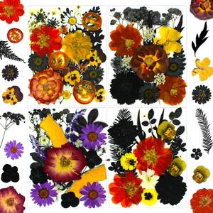 lot 2483 image: SUAUKEY 92 Pcs Dried Pressed Flowers Fruits for Resin Molds, Real Natural Bulk Dry Wildflowers Leaves Perfect for Epoxy, DIY Crafts, Nails, Soap Candles Jewelry Making, and Home Decor