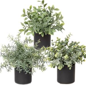 lot 3594 image: 3 Pack Small Fake Plants for Shelf Decor Accents with Ceramic Pot Artificial Potted Plants for Rustic Farmhouse Decor Faux Plants Indoor Fake Potted Plants Artificial for Home Office Bookshelf Decor