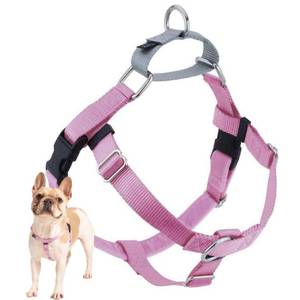 lot 4365 image: 2 Hounds Design Freedom No Pull Dog Harness, Adjustable Harness, Easy Walking & Comfortable Control, Fits Small, Medium & Large Dogs, Solid Colors, Made in USA, 58 XS, Rose